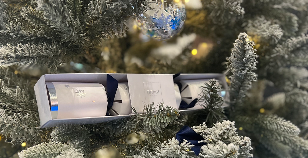 Obagi Cristmas gift products in cracker