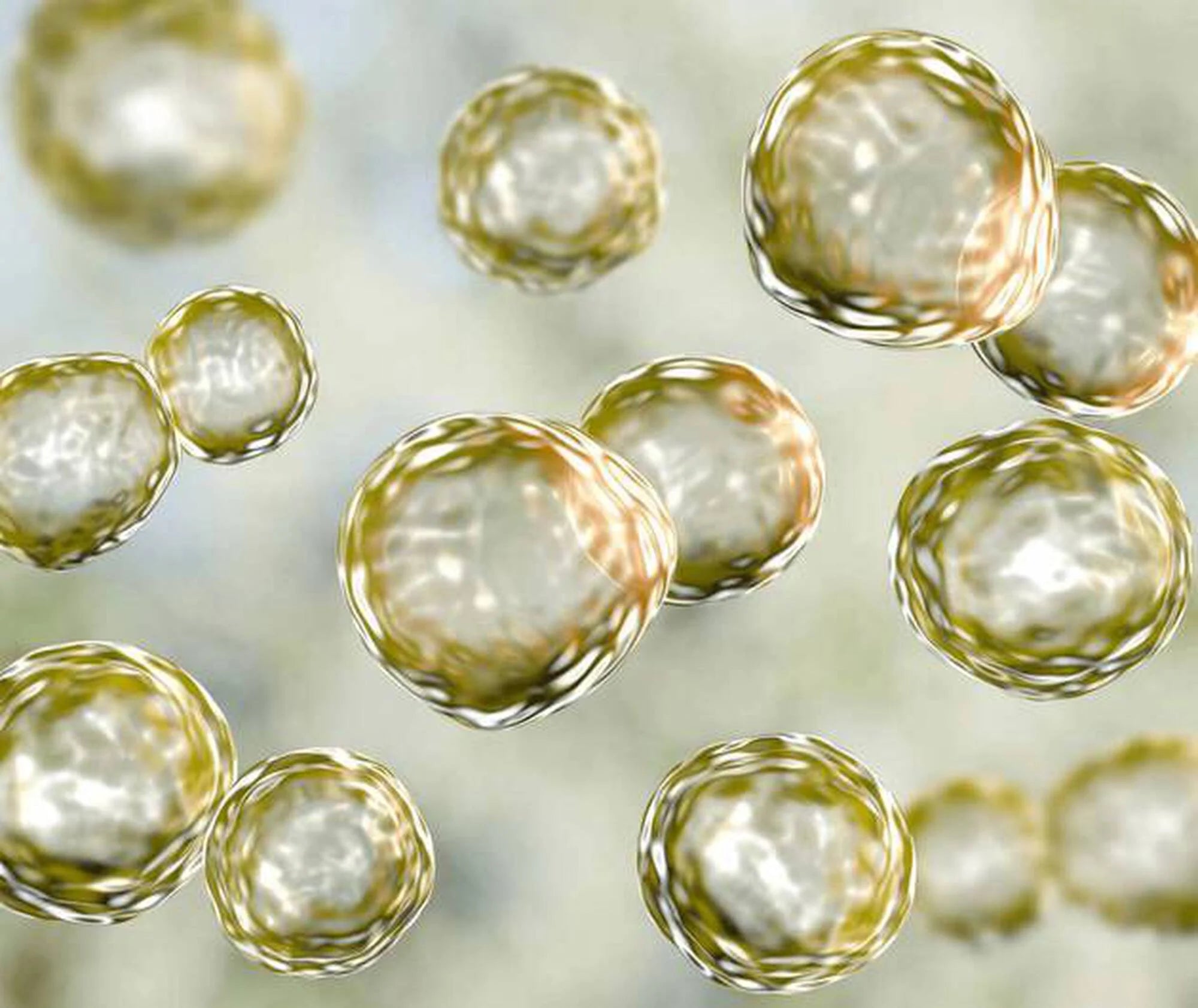 Close-up of gold and silver metallic spheres on a reflective surface