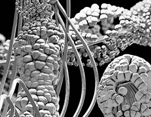 Close-up of a textured surface with intricate patterns