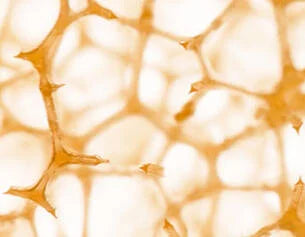 Close-up of a textured beige surface