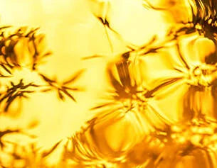 Yellow flowers reflected in water with a blurred background