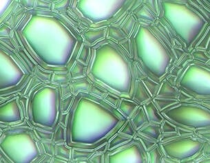 Close-up of a green, textured surface with geometric patterns