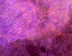 Abstract purple and pink pattern