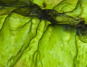 Close-up of a green fruit with a textured surface
