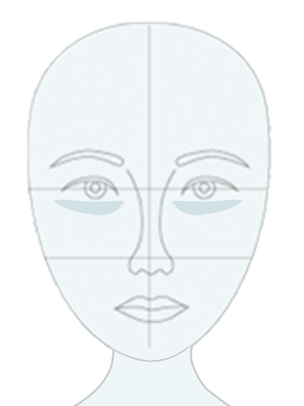 Outline of a face on a white background