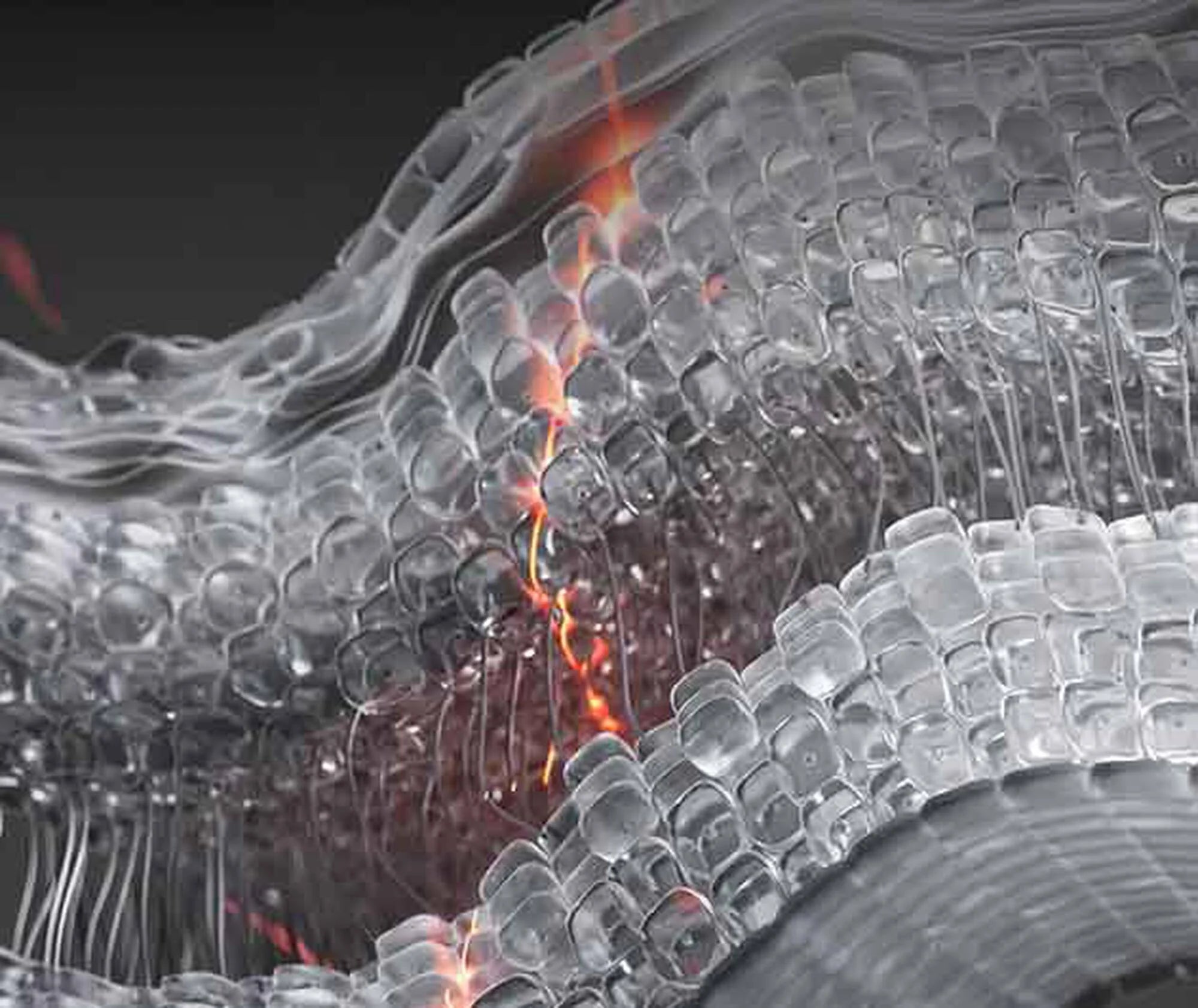 Close-up of a dragon's scales with a fiery core