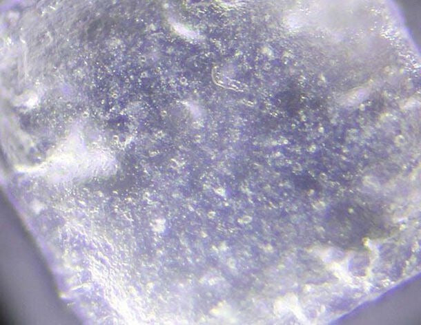 Zinc PCA