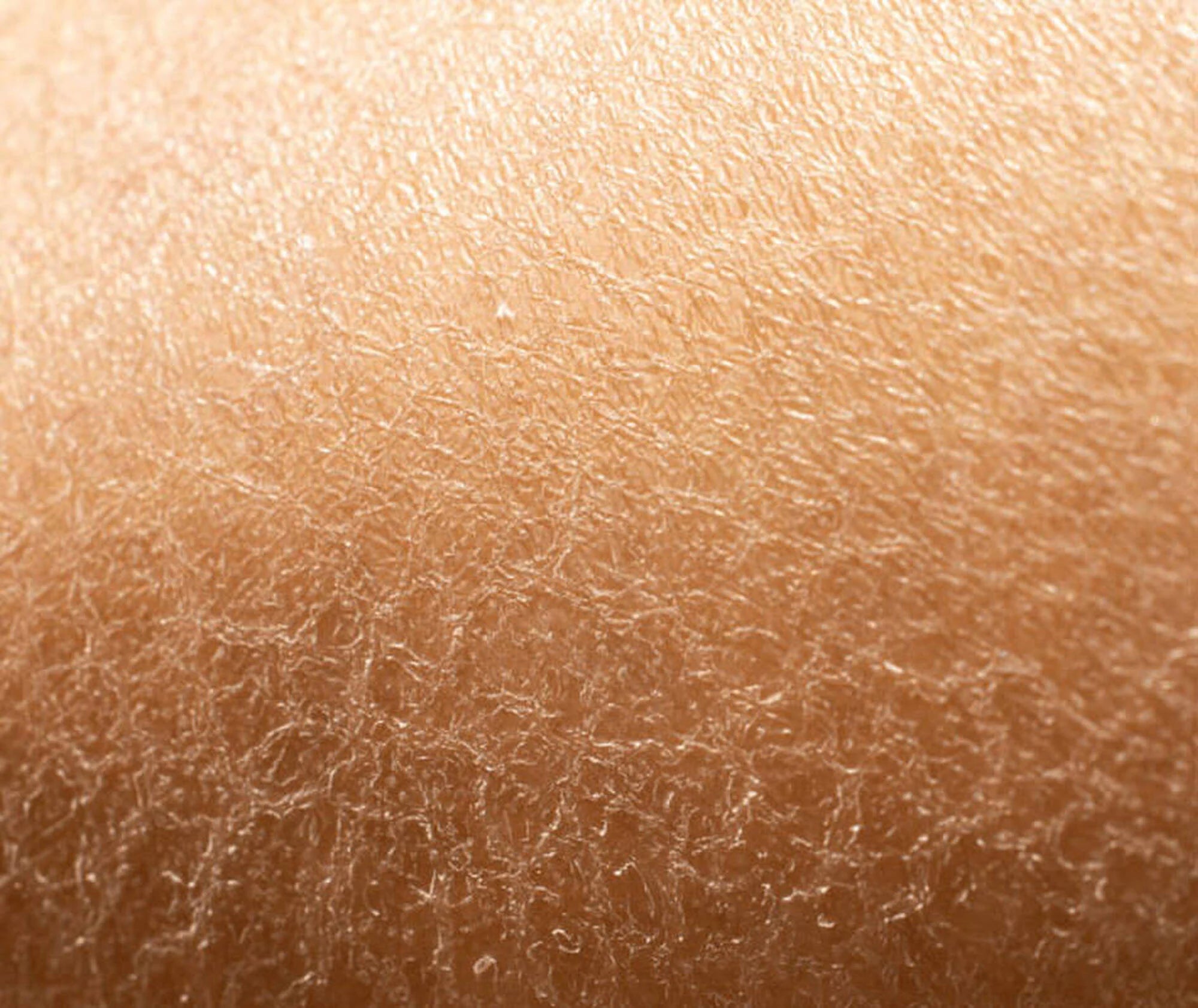 Close-up of human skin texture
