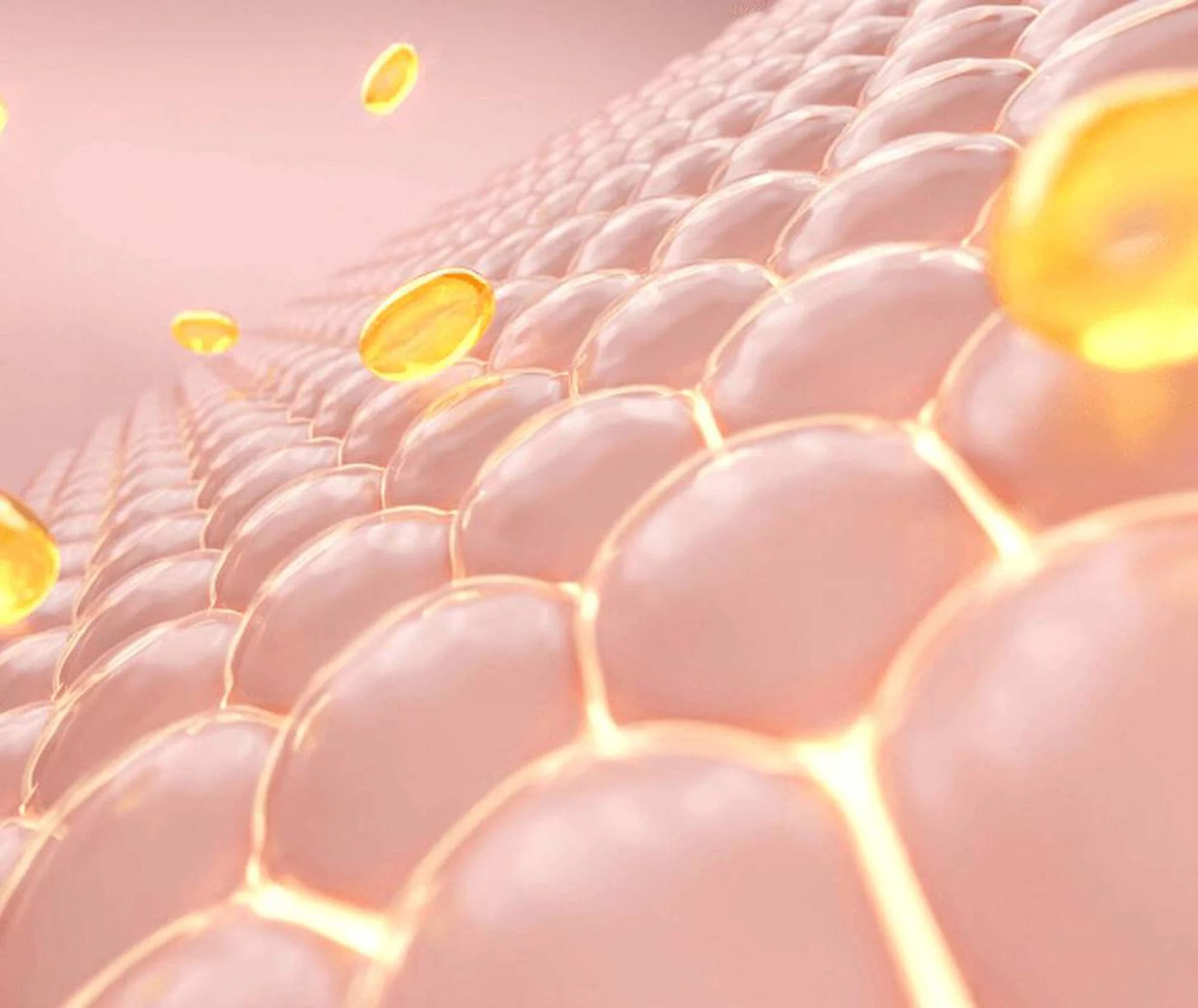 Illustration of skin cells with yellow droplets on a pink background